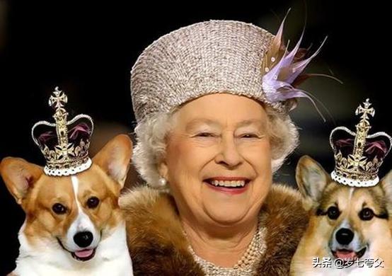 西班牙和荷兰等国的早期殖民扩张,以前的英国法国西班牙的殖民地