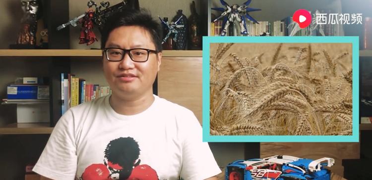 全国最大的医院为什么是郑州,郑州世界最大的医院