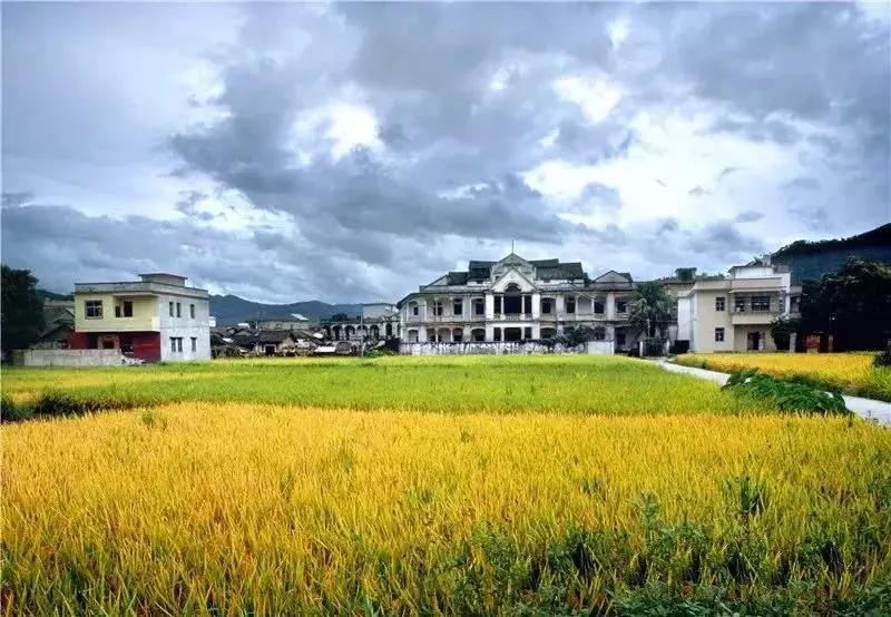 广东省最美自驾游244省道,中国最受欢迎的十大自驾路线top1