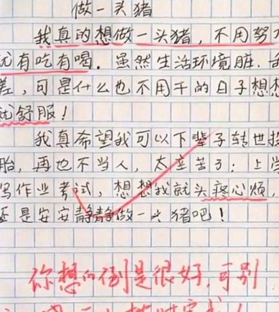小学生优秀作文180个字,小学生获奖励的作文