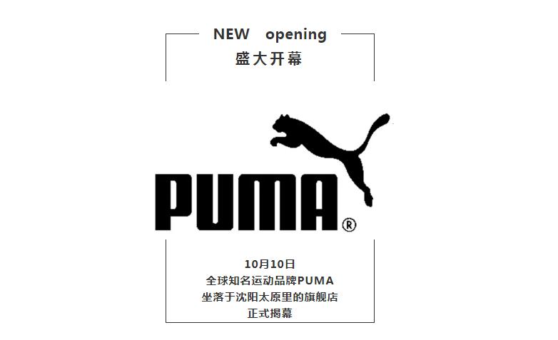 puma代言人赵继伟,puma赵继伟同款篮球鞋