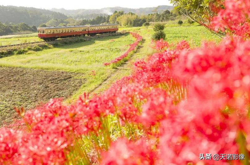 徕卡相机sl2与sl2s哪个更好,极致相机最新版