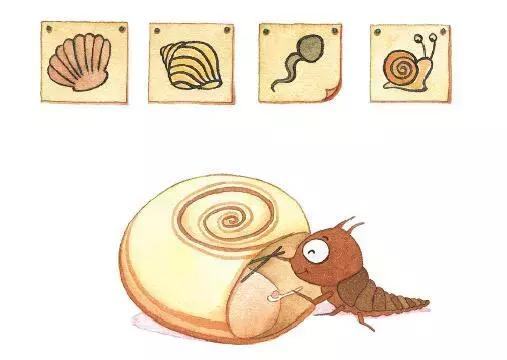 你原来是这样的萤火虫,估计老师们也很少知道!