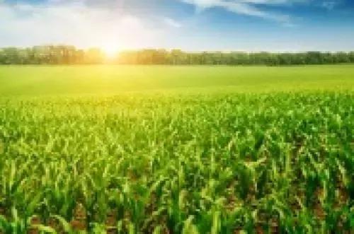 洋码头ceo曾碧波资产,洋码头曾碧波现在怎么样了