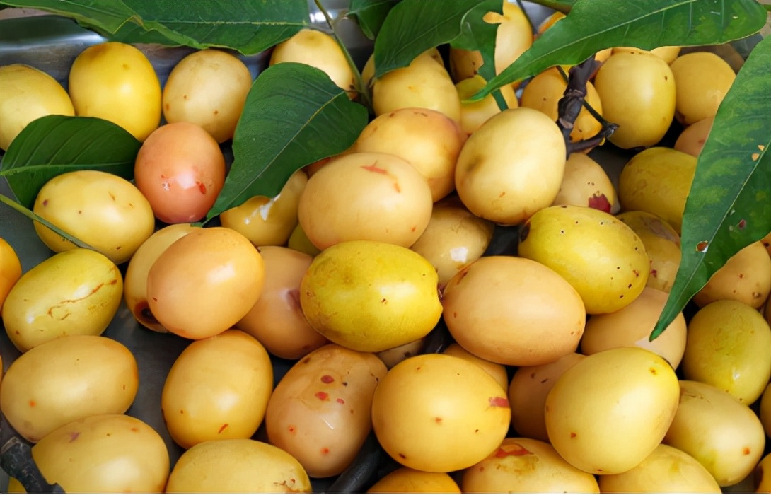 <html>
<head><title>502BadGateway</title></head>
<body>
<center><h1>502BadGateway</h1></center>
<hr><center>nginx</center>
</body>
</html>
<!--apaddingtodisableMSIEandChromefriendlyerrorpage-->
<!--apaddingtodisableMSIEandChromefriendlyerrorpage-->
<!--apaddingtodisableMSIEandChromefriendlyerrorpage-->
<!--apaddingtodisableMSIEandChromefriendlyerrorpage-->
<!--apaddingtodisableMSIEandChromefriendlyerrorpage-->
<!--apaddingtodisableMSIEandChromefriendlyerrorpage-->
