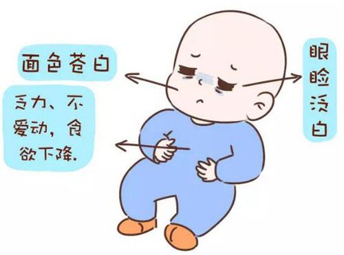吃什么食物可以预防缺铁性贫血,孩子缺铁性贫血发生的基本原因