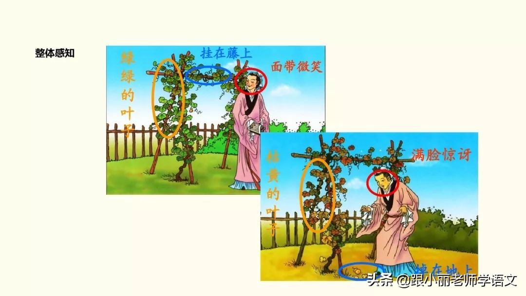 二年级我要的是葫芦的寓意是什么,二年级我要的是葫芦说明什么道理