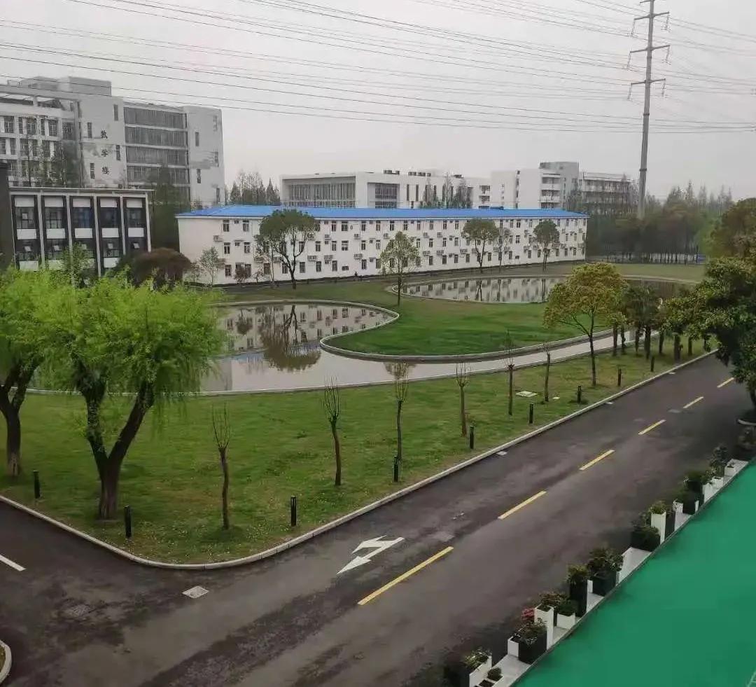 对yyds看法作文,用yyds写作文