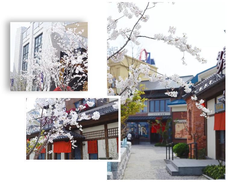 苏州华谊兄弟电影世界自在游,苏州华谊兄弟电影世界五一攻略