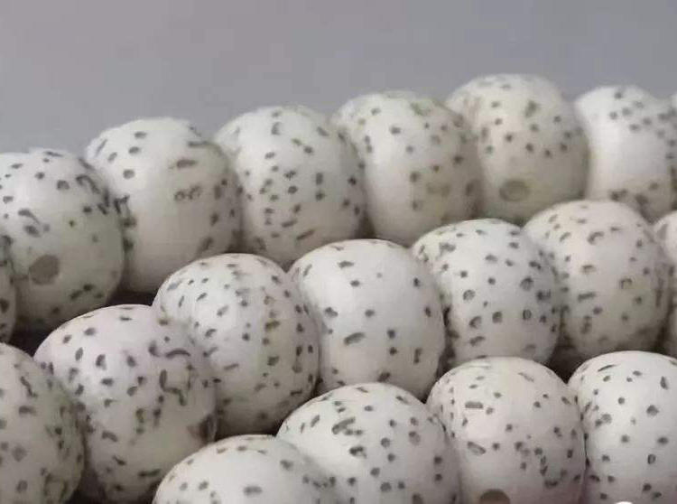 比较靠谱的星月菩提,星月菩提这4个常见误区害人不浅