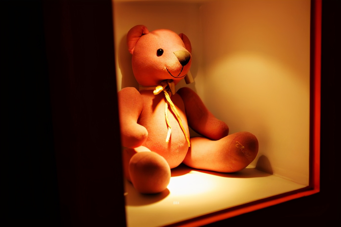 济州岛泰迪熊博物馆,济州岛泰迪熊博物馆圣诞节