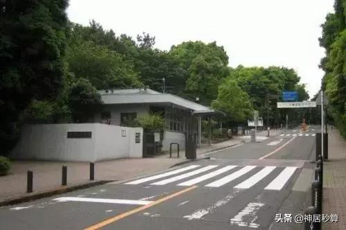 东京和横滨哪个更好投资,东京哪个区最值得投资