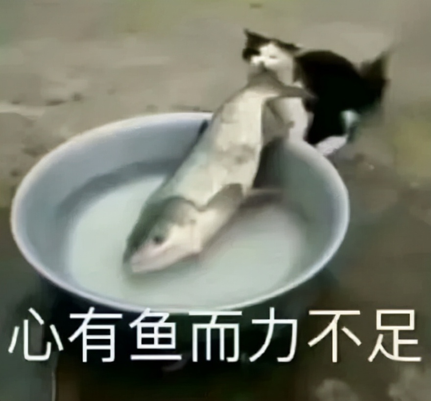 为什么治牙这么贵,为什么看牙病贵