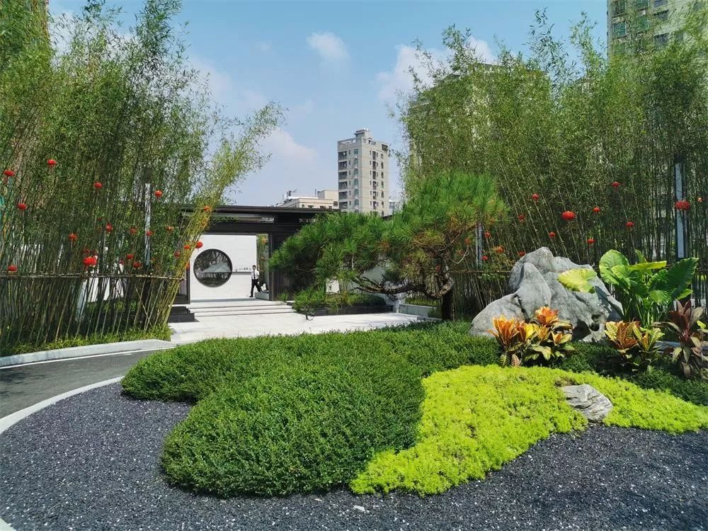 近期即将开盘的神盘,爆料光明中心区一住宅项目拟入市