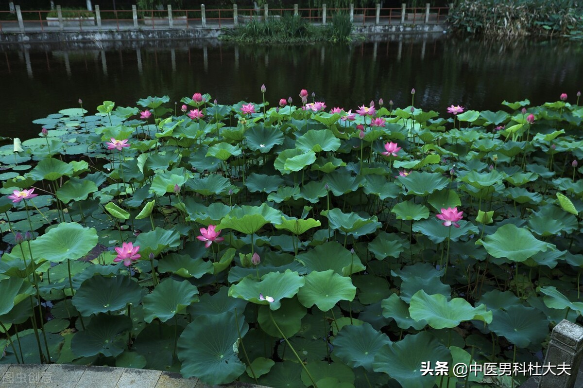 肾阴虚火旺会导致下焦湿热吗,下焦虚寒导致的尿频