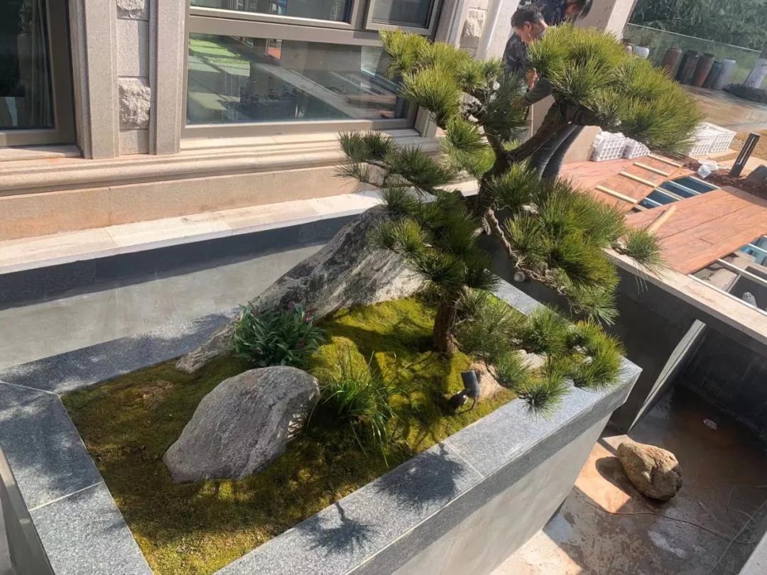 3-5吨锦鲤池建造,锦鲤池生态鱼池建造图