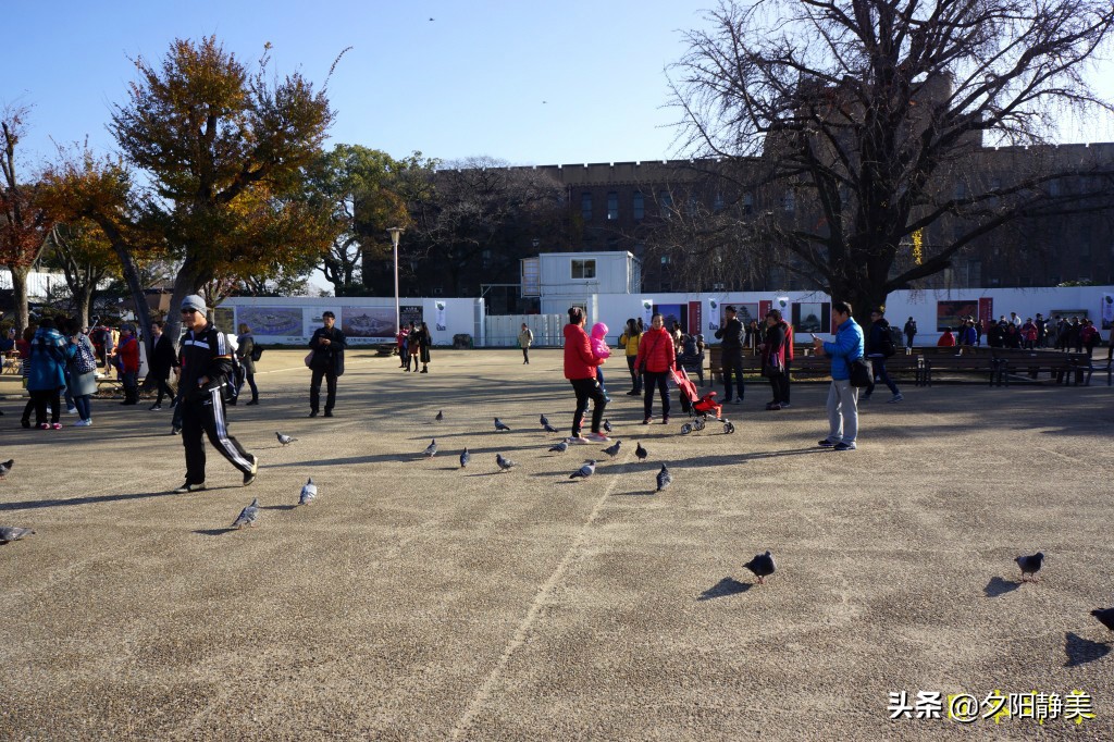 大阪心斋桥一人游攻略,旅游回来心得