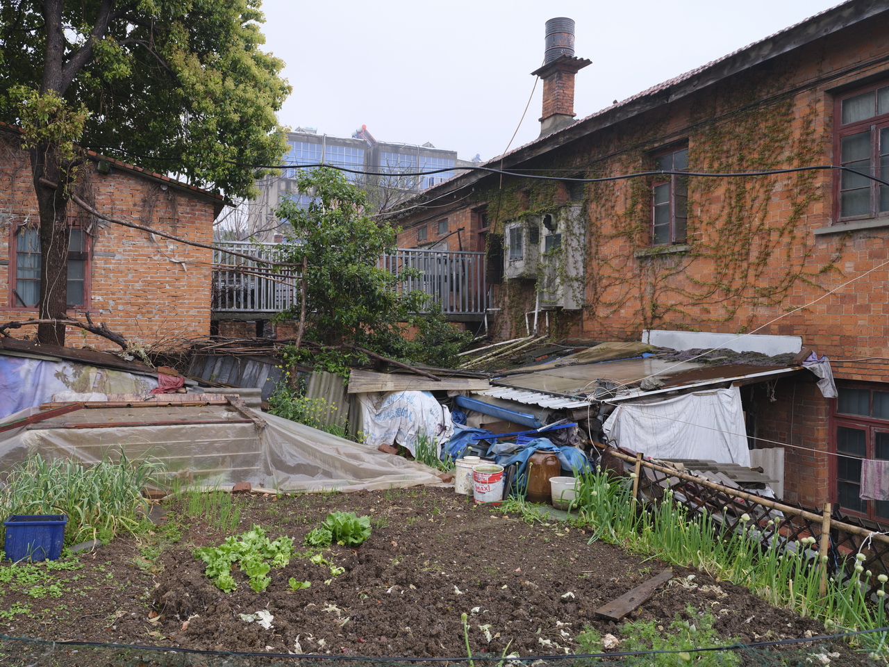 湖北三线536厂,三线厂汉丹机械厂