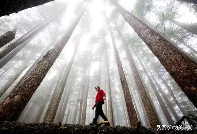 西雅图一生必去的景点,西雅图旅游攻略必去景点大全