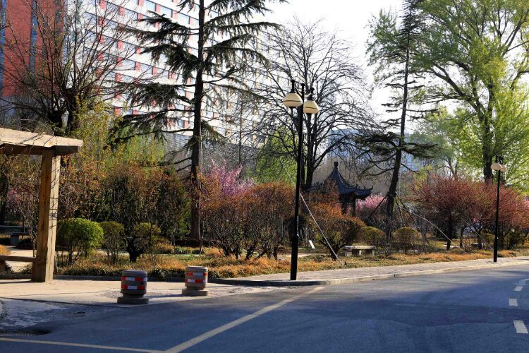 百年山东看青岛千年齐鲁逛青州,山东大学趵突泉景区