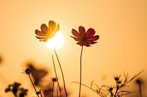 深夜的医院单间病房,医院里面的特殊病房