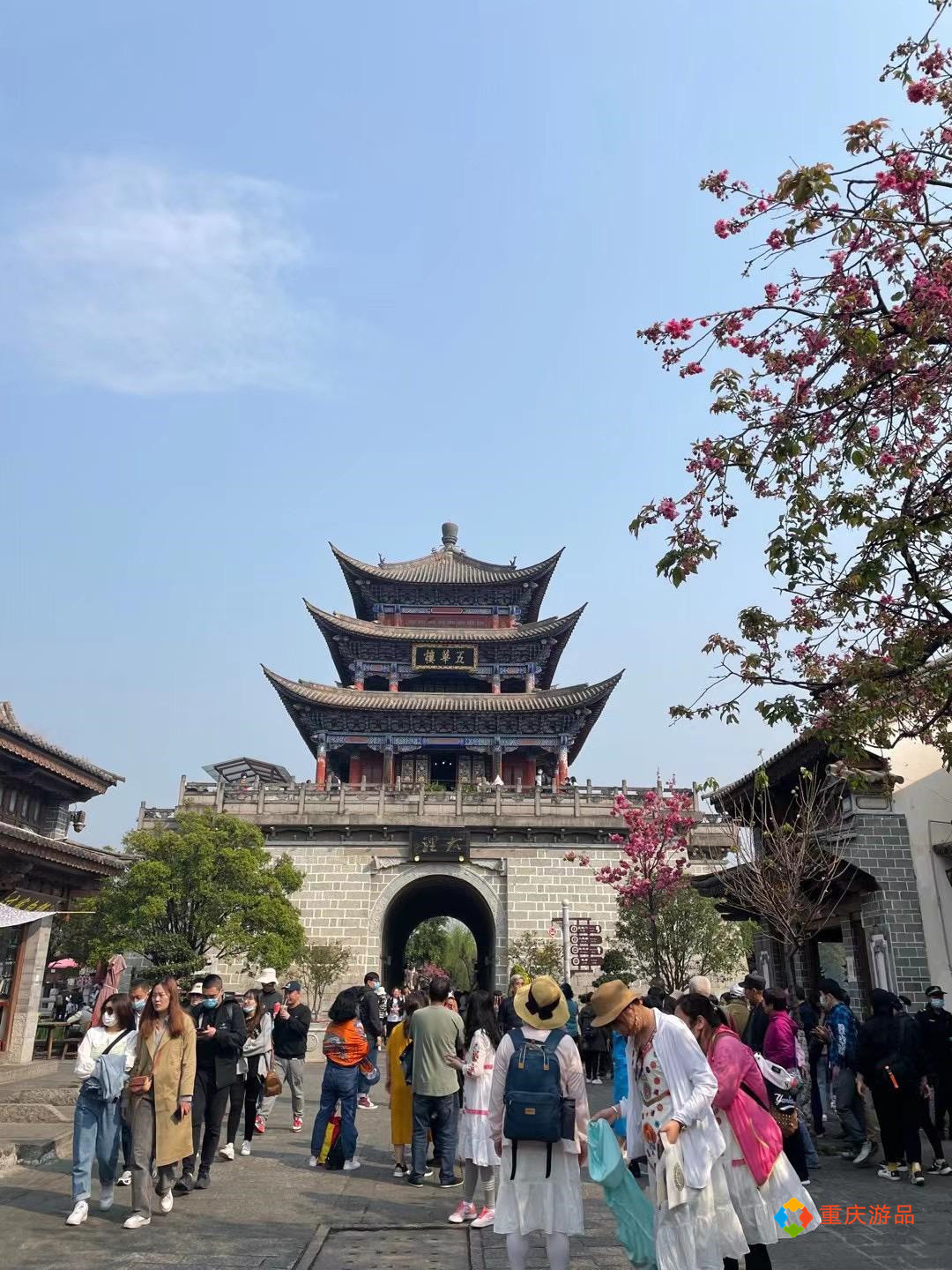 浜戝崡澶х悊鍋堕亣瓒呰窇,澶х悊鍋堕亣瓒呰窇