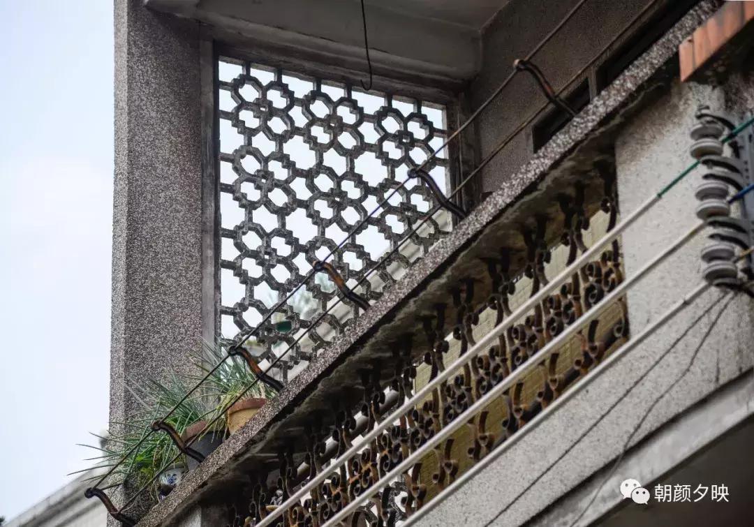 岐阳梧桐起凤环，鹭兮鹭兮寻不见（上）