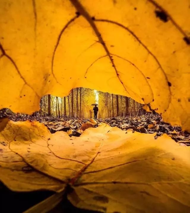 广东的秋天摄影,如何拍秋天风景照片