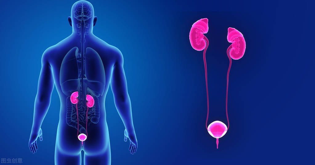 输尿管狭窄引起肾积水,输尿管狭窄热敷有用吗