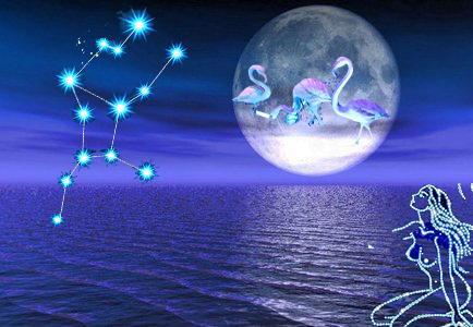 处女座的男人:最基本的人格,情操,思维等特质