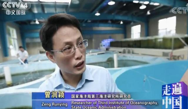 女明星的头发发质真的这么好吗,深扒明星发质好秘诀