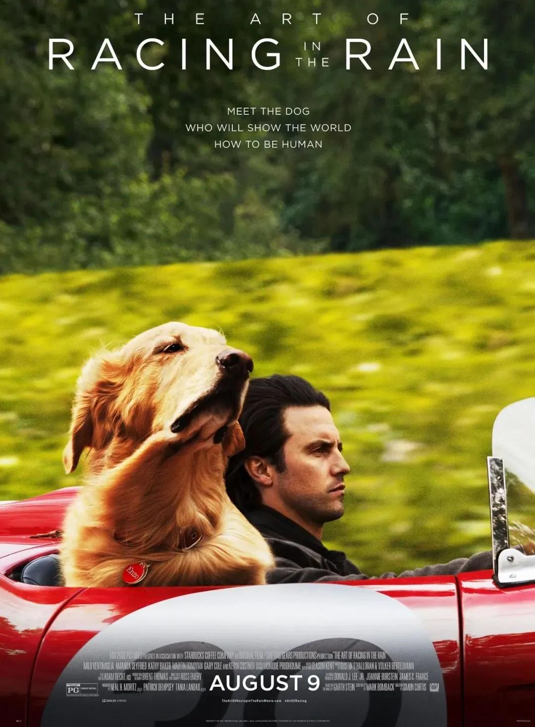 拯救不开心之类电影推荐,十部让人内心平静的电影