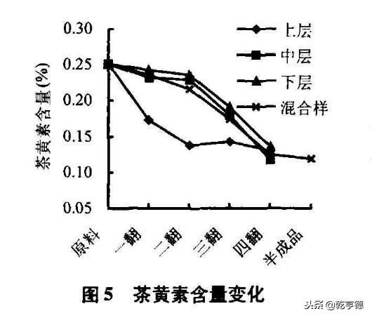 古树普洱茶山头排名,古树普洱生意好吗