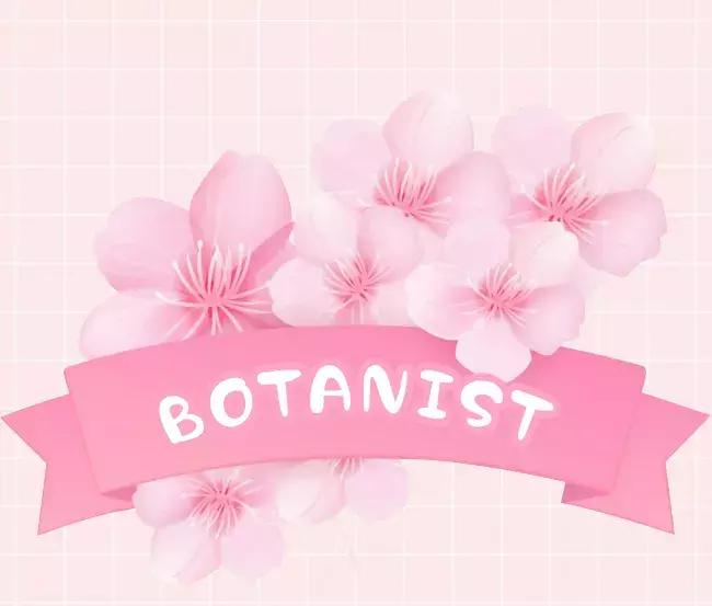 粉粉粉粉粉粉出屏幕的樱花限定来啦，看过就算买过！