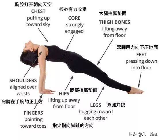 瑜伽练习的基本原则,瑜伽之光讲的什么