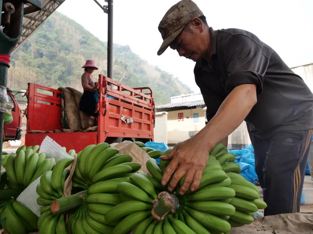 乡村振兴电商扶持政策,农村电商乡村振兴扶持政策