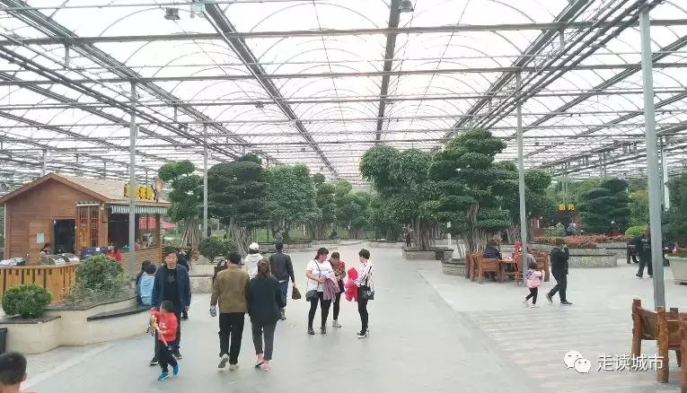 走读城市之廊坊安次(八):九天休闲谷