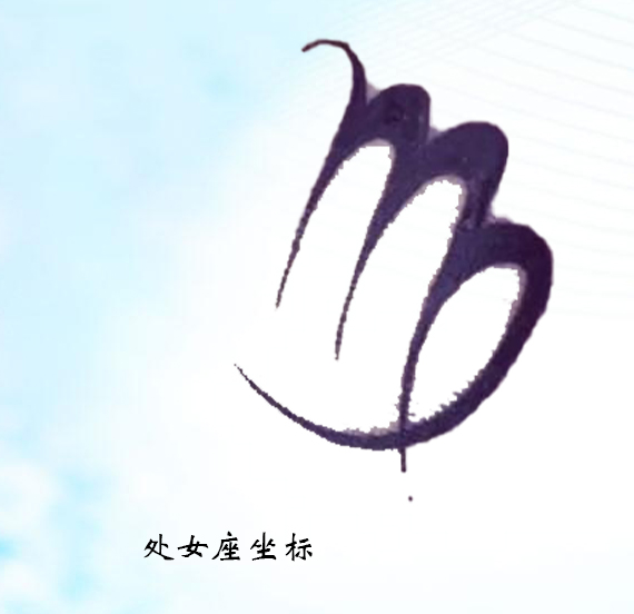 处女座的男人:最基本的人格,情操,思维等特质