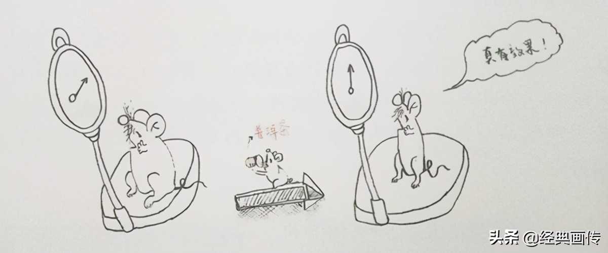 荷叶普洱茶有减肥的功效吗,普洱茶的减肥功效