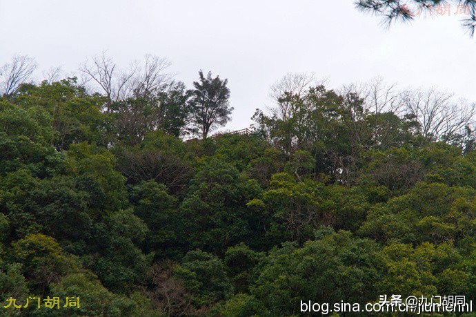 京都岚山风景区在哪,京都岚山樱花
