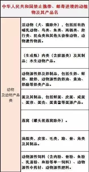 回国下飞机后被带走,回国飞机不托运海关检查行李吗