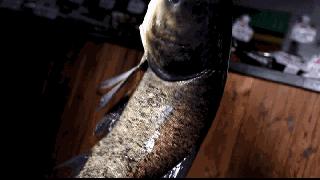 在合肥能吃到全中国的美食,合肥最好吃的鱼头汤滨湖