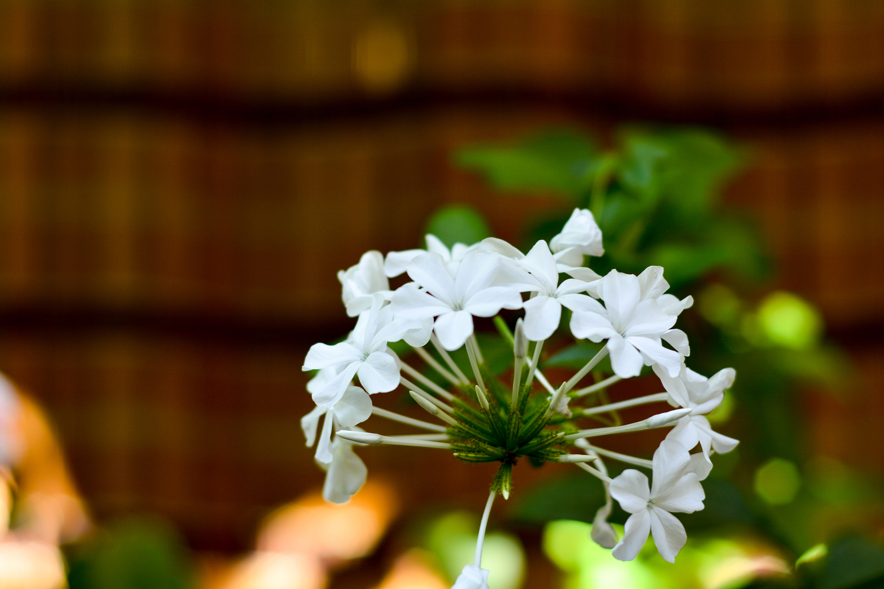 湛江去云南旅游怎么省钱,云南旅游自由行省钱攻略