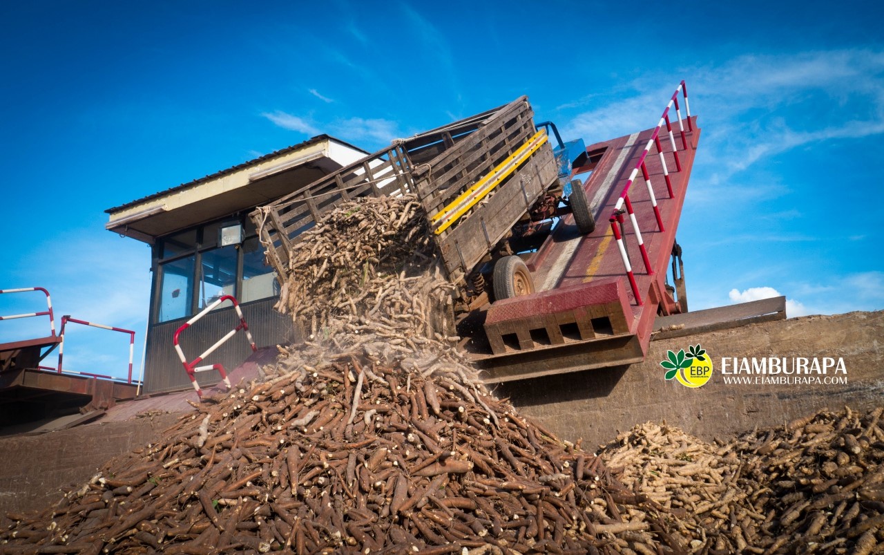 木薯粉的作用与用途是什么,木薯粉的用途及作用
