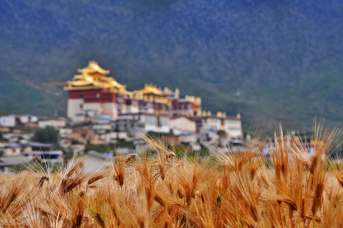 国内最经典12条自驾游线路,国内十大自驾游线路推荐