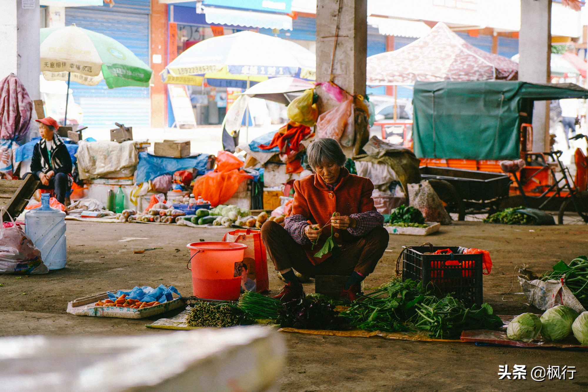 桂林阳朔旅游攻略一天半,最详细桂林阳朔旅游攻略