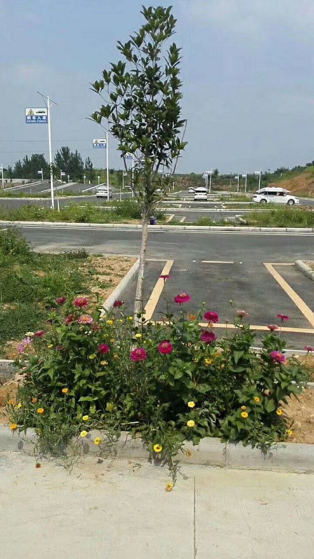 科目三驾考全部要点难点,科目三驾考到底有多难