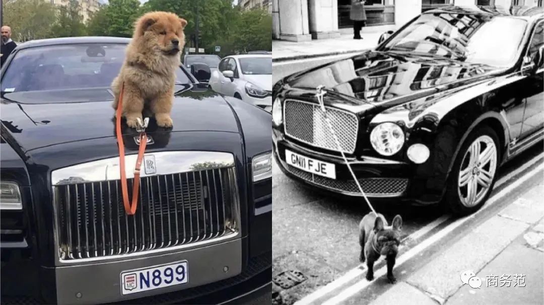 富二代发朋友圈的视频,富二代故意发朋友圈