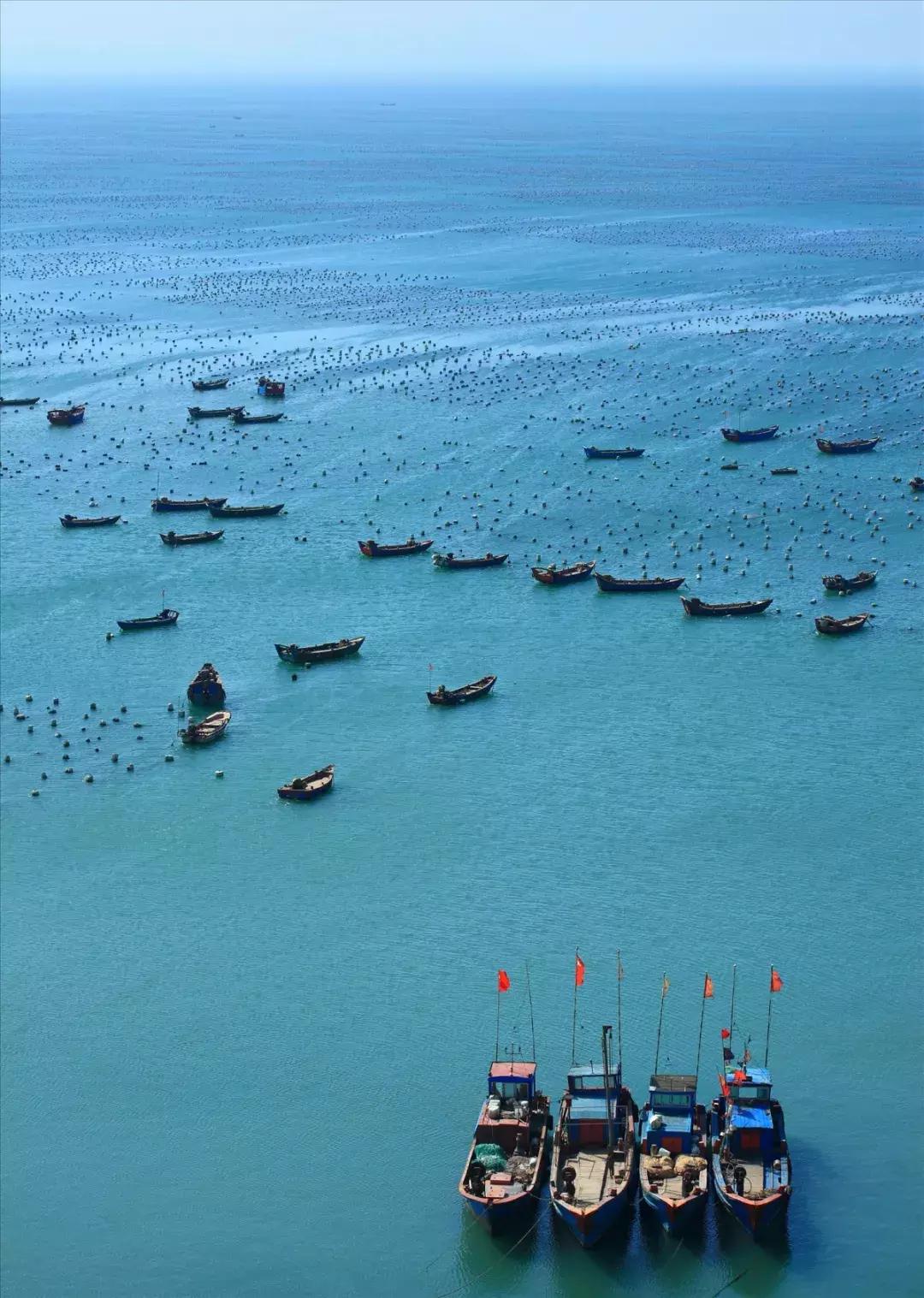 普陀山岛上海景酒店推荐第一名,海天一色面朝大海的度假酒店推荐