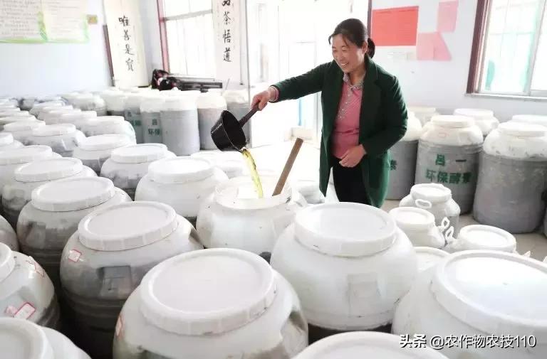 蔬菜种植自制营养土配方,菜地里加什么能让菜长得快